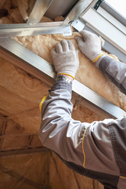 Best Commercial Insulation Services  in Haltom City, TX