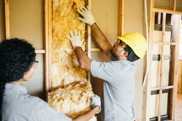 Types of Insulation We Offer in Haltom City, TX